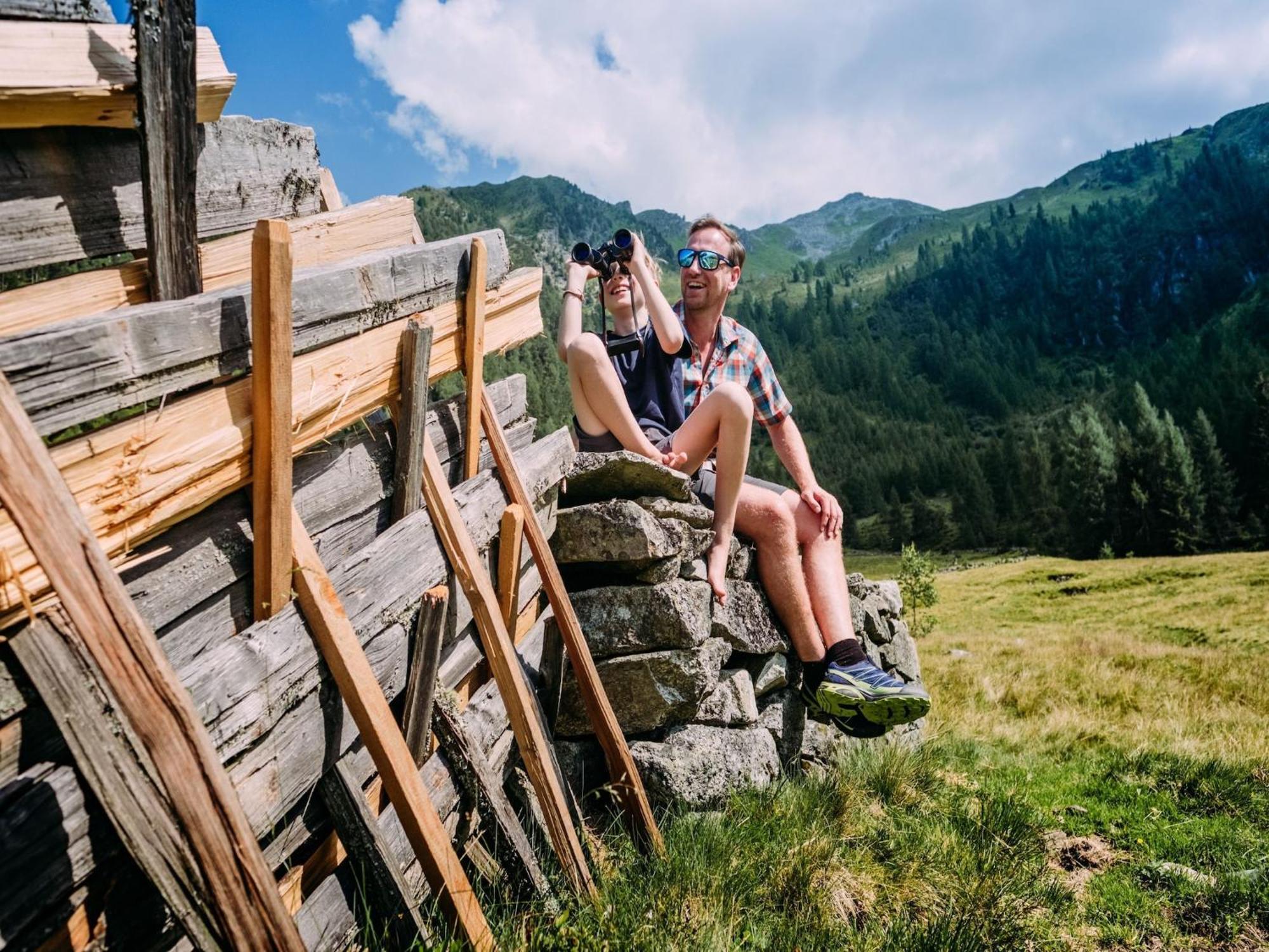 Apartment Johann In Wald Im Pinzgau With Balcony ภายนอก รูปภาพ